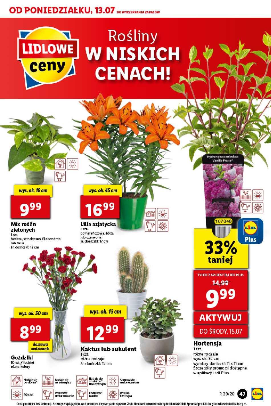 Gazetka promocyjna Lidl str. 47