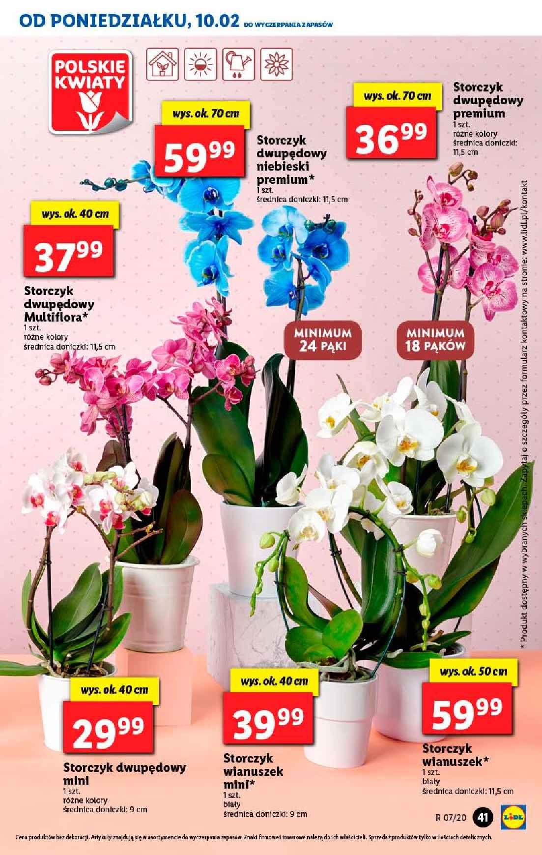 Gazetka promocyjna Lidl str. 41