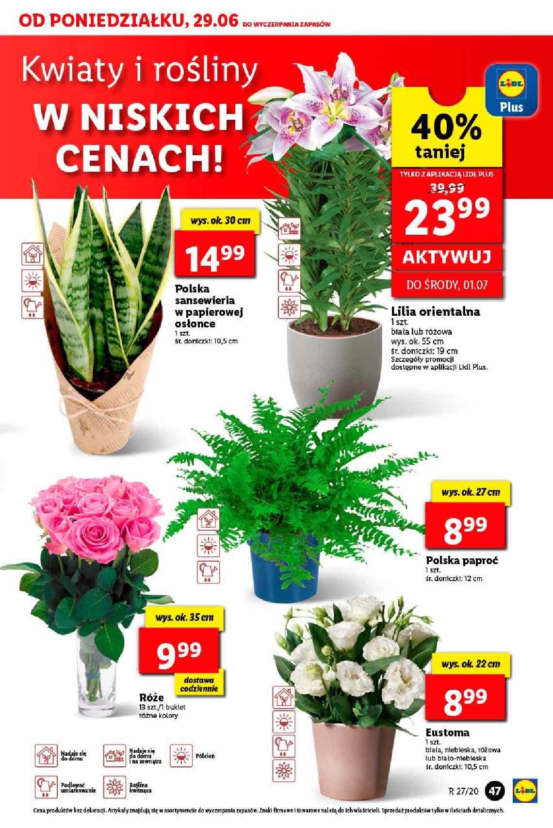 Gazetka promocyjna Lidl str. 47