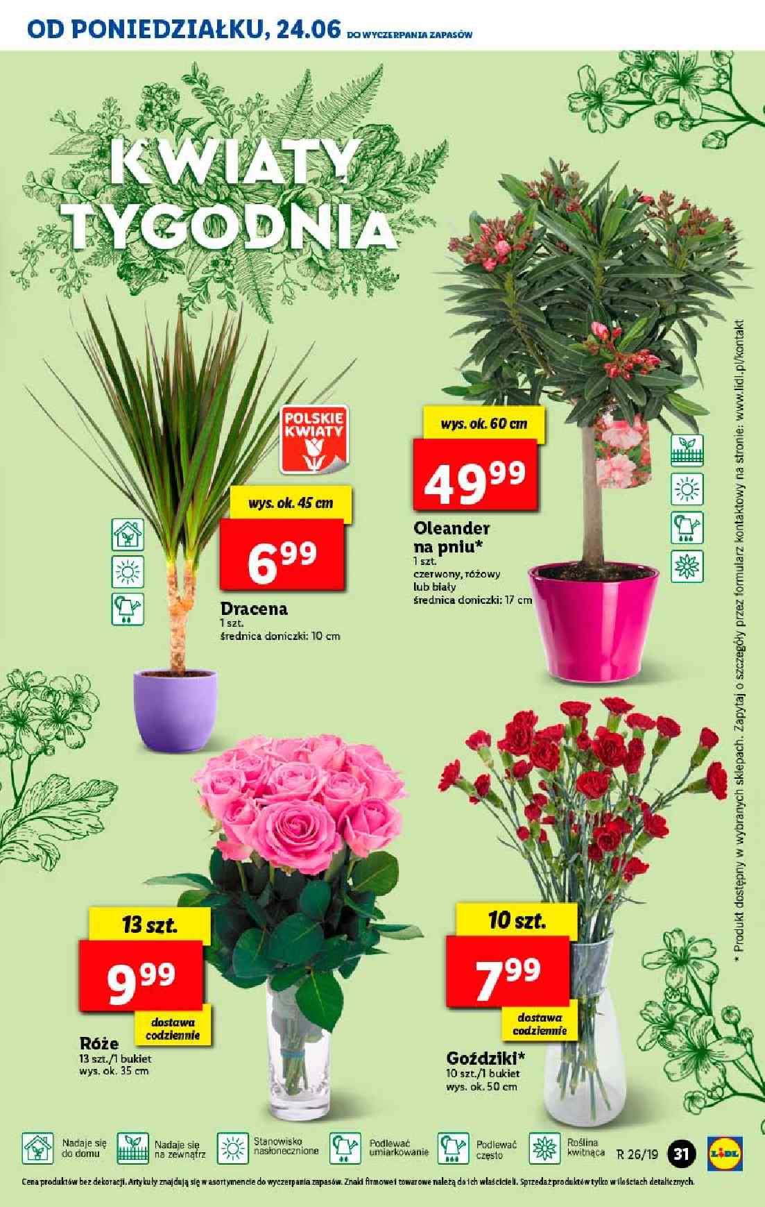 Gazetka promocyjna Lidl str. 31