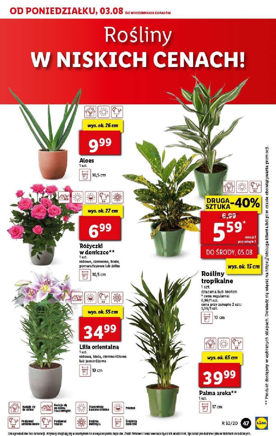 Gazetka promocyjna Lidl str. 47
