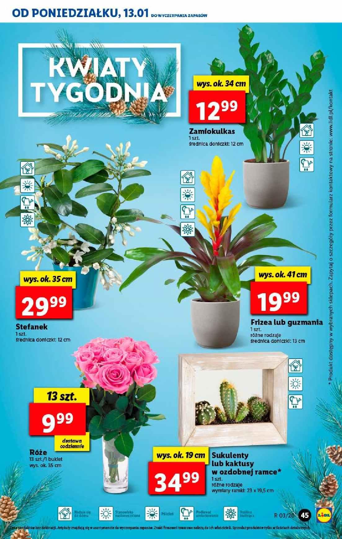 Gazetka promocyjna Lidl str. 45