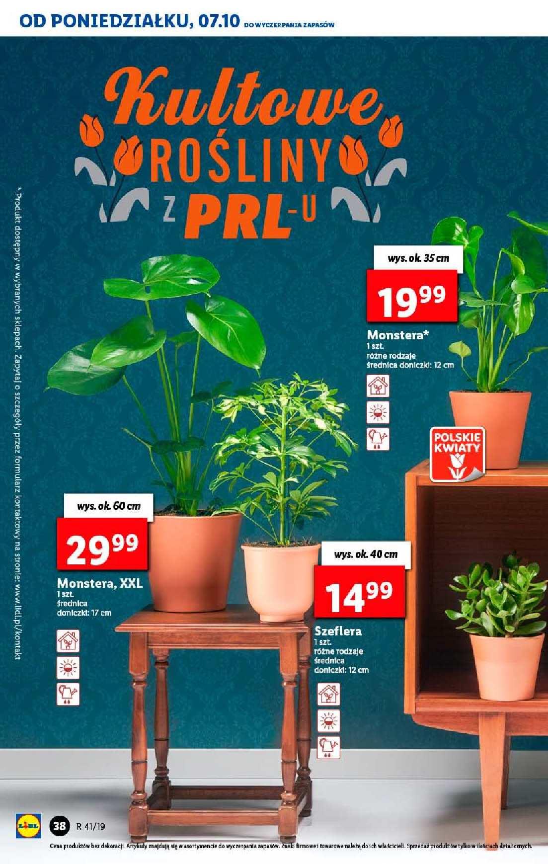 Gazetka promocyjna Lidl str. 38