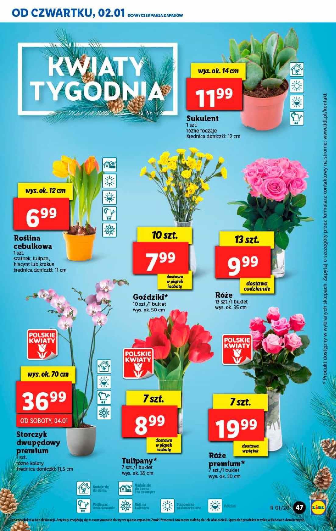 Gazetka promocyjna Lidl str. 47