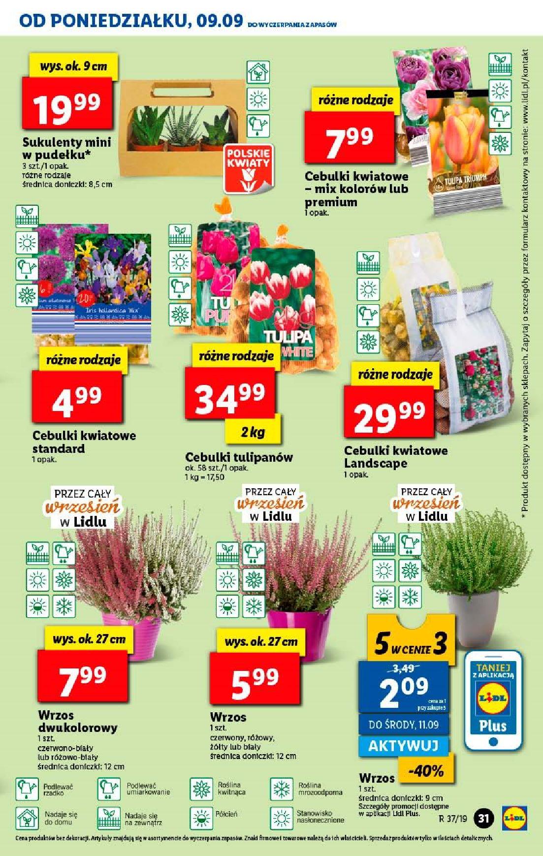 Gazetka promocyjna Lidl str. 31