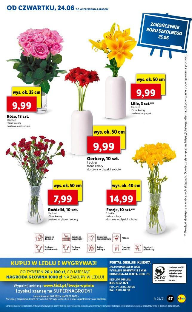 Gazetka promocyjna Lidl str. 47