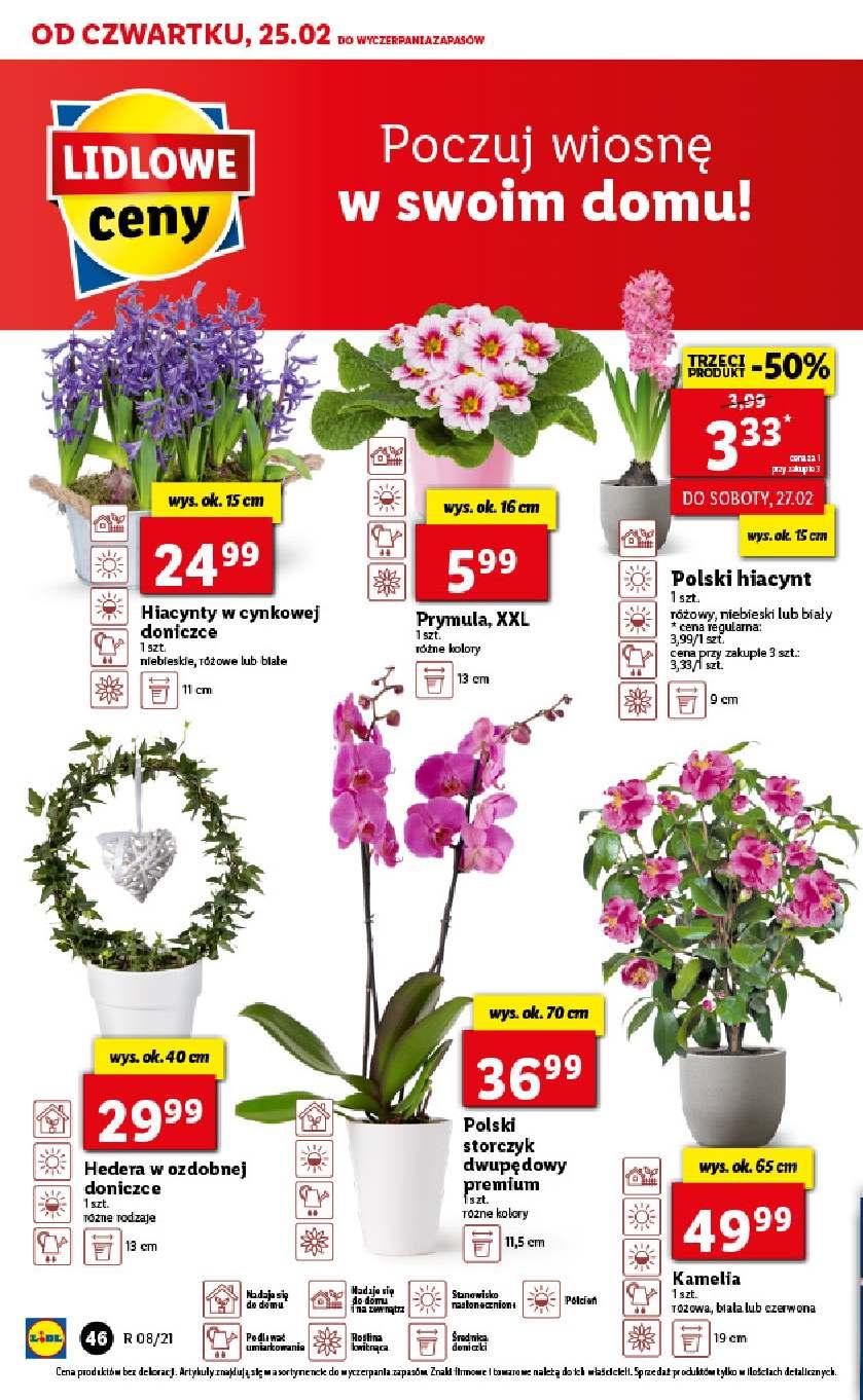 Gazetka promocyjna Lidl str. 46