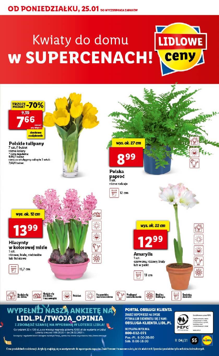 Gazetka promocyjna Lidl str. 55