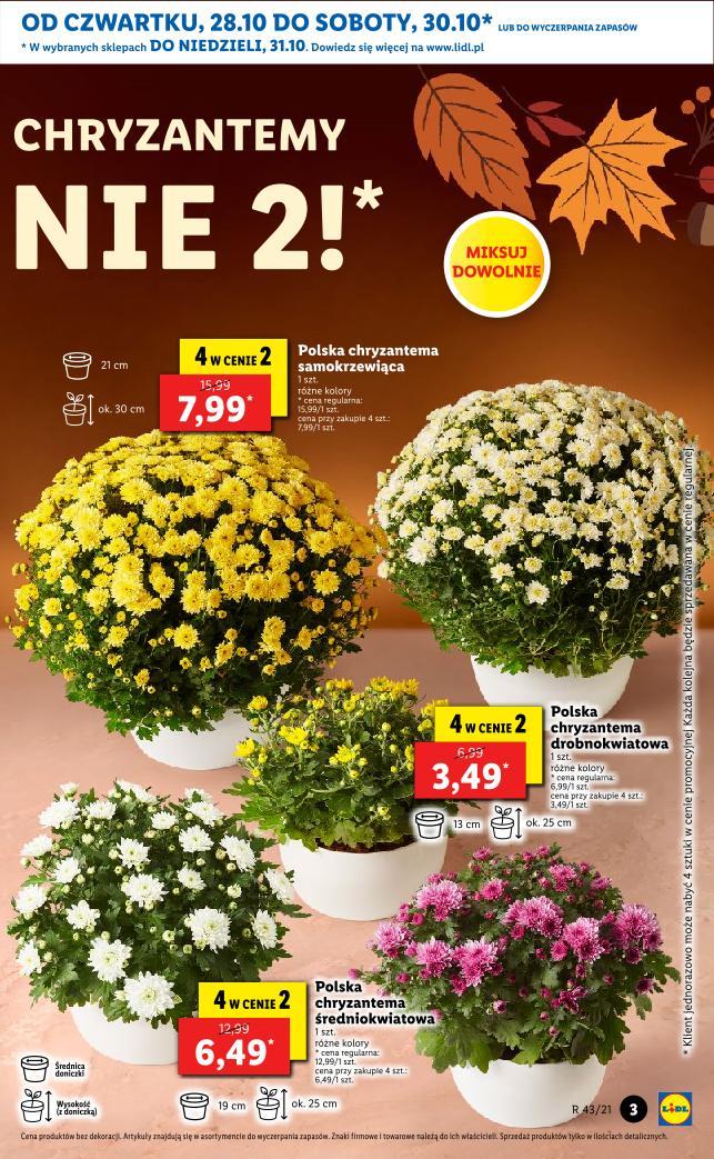 Gazetka promocyjna Lidl str. 3