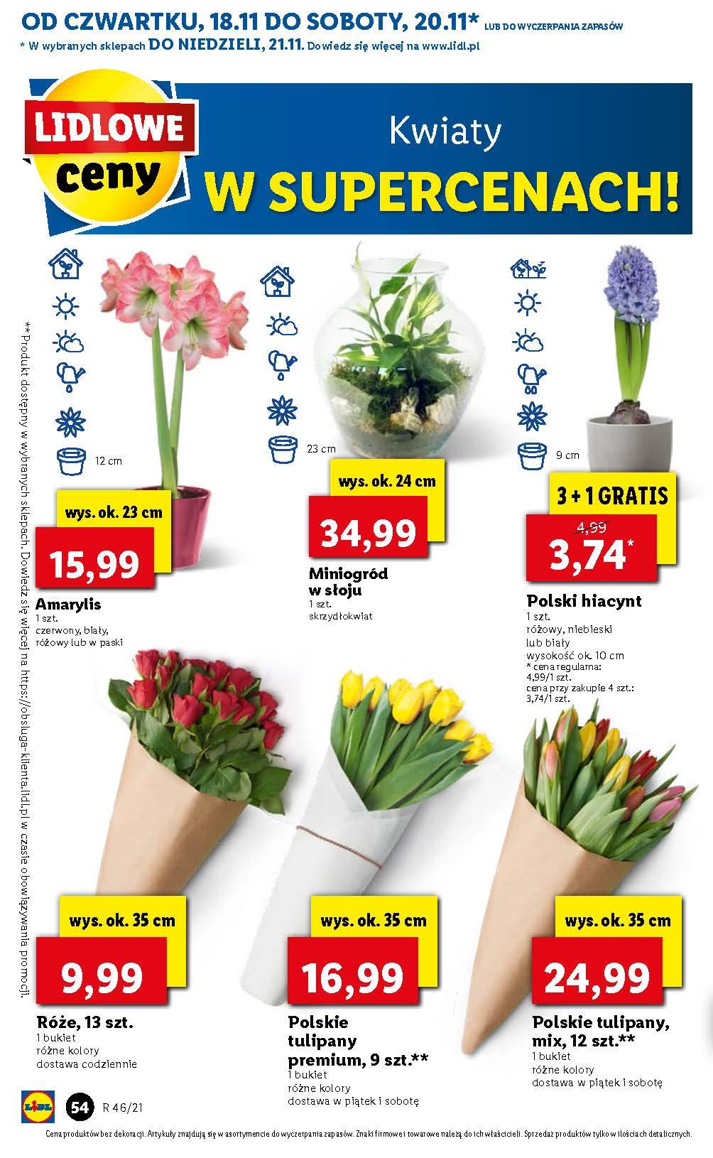 Gazetka promocyjna Lidl str. 54
