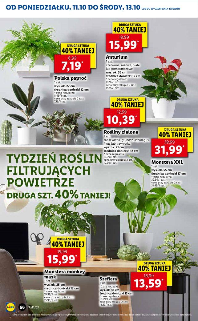 Gazetka promocyjna Lidl str. 62