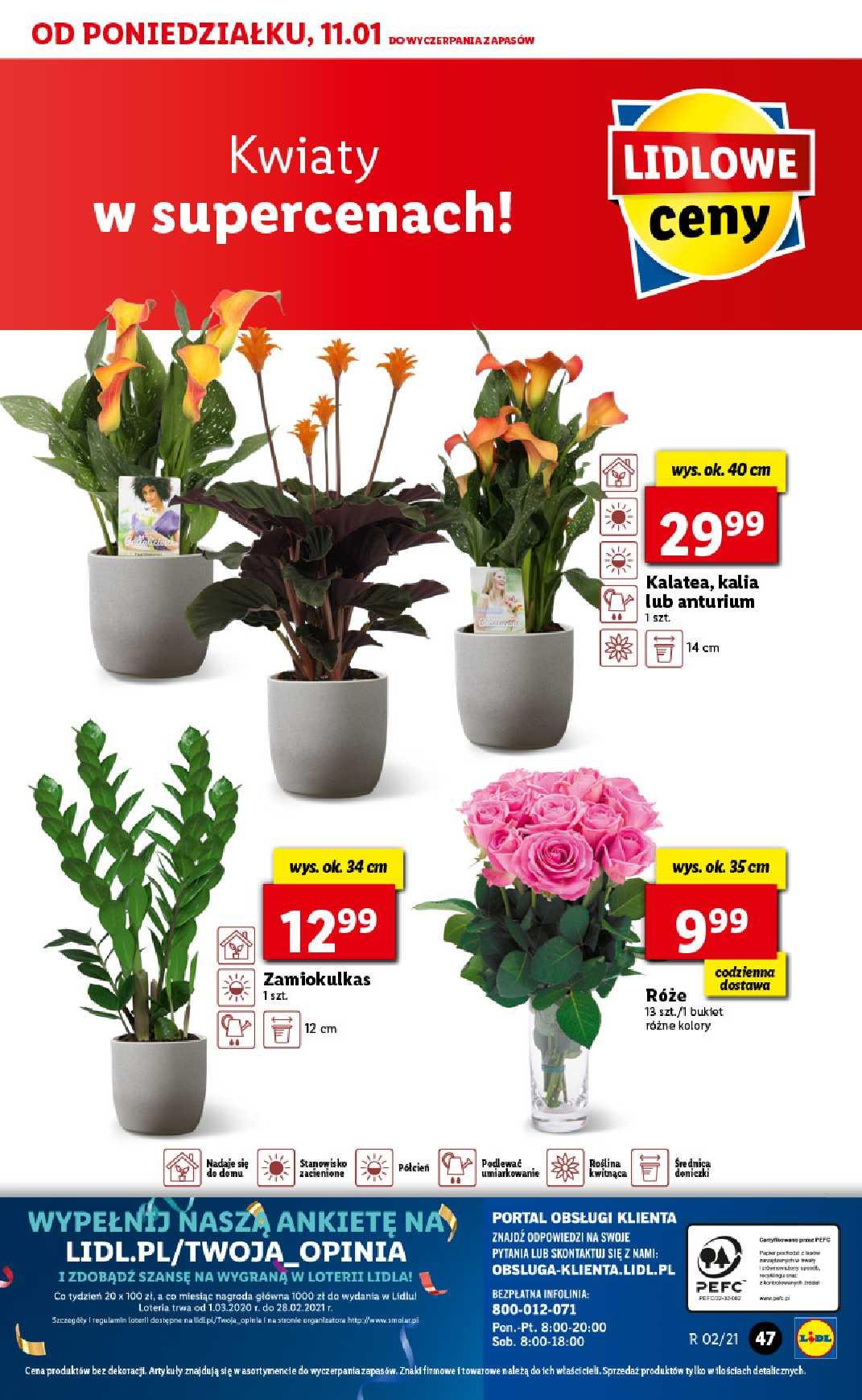 Gazetka promocyjna Lidl str. 47