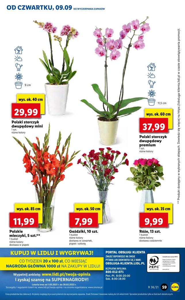 Gazetka promocyjna Lidl str. 55