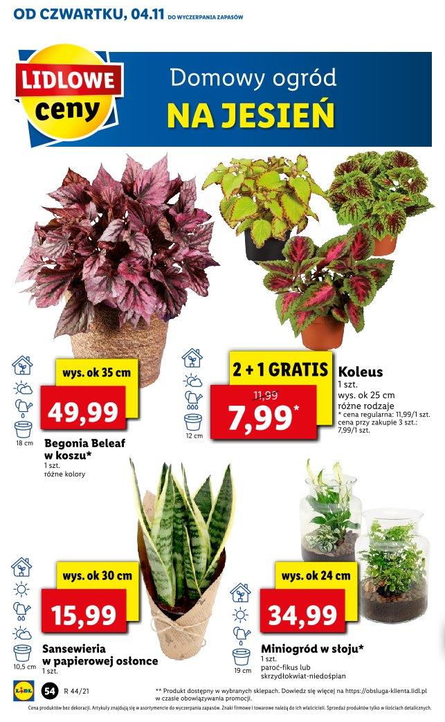 Gazetka promocyjna Lidl str. 54