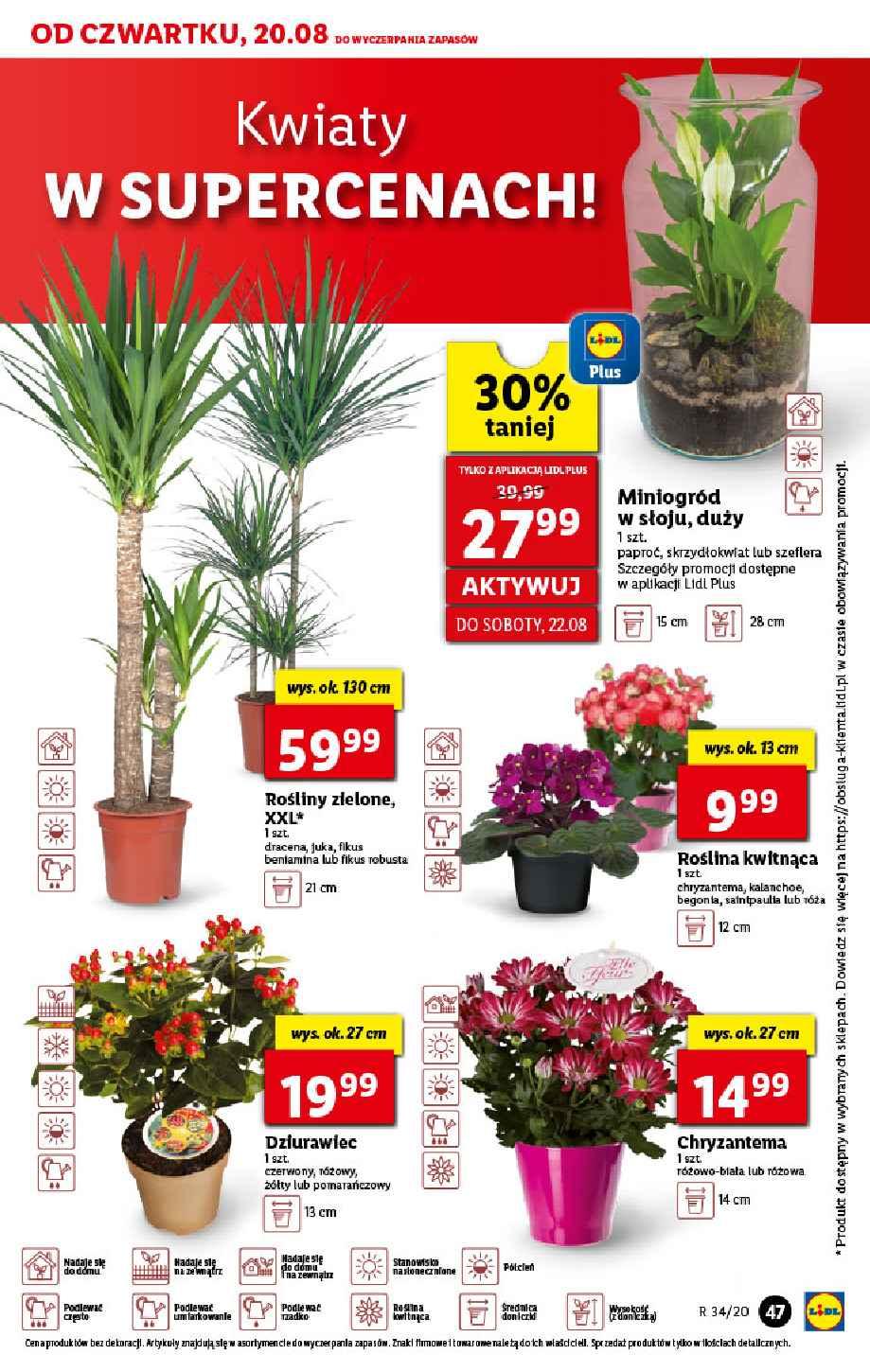 Gazetka promocyjna Lidl str. 47