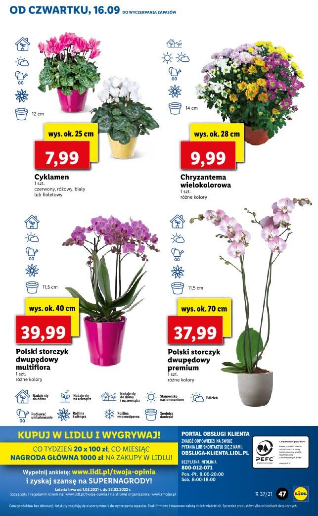 Gazetka promocyjna Lidl str. 47