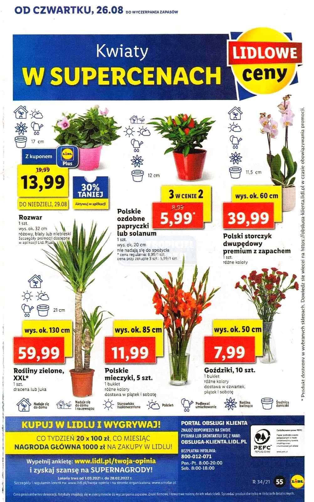 Gazetka promocyjna Lidl str. 55