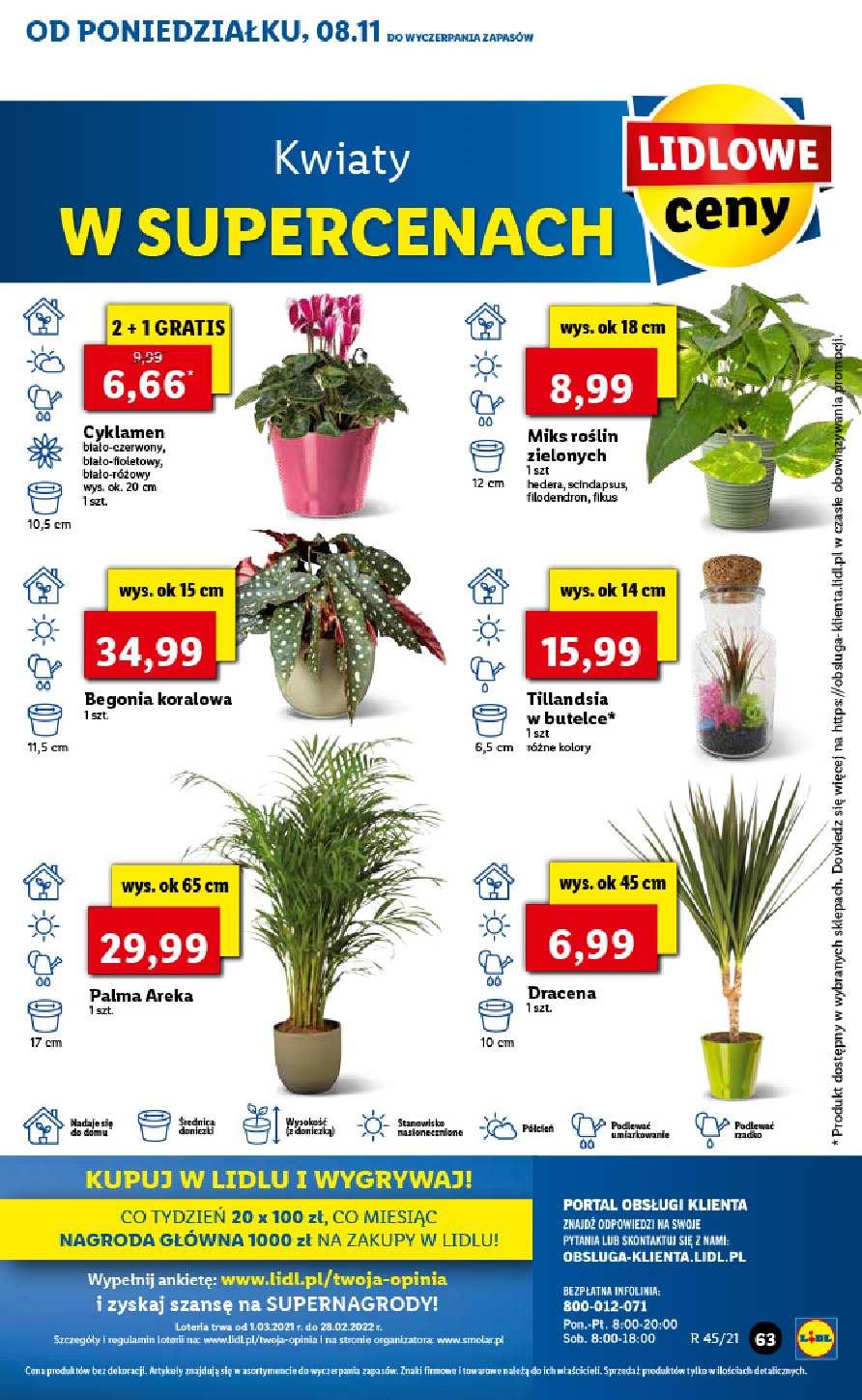Gazetka promocyjna Lidl str. 63
