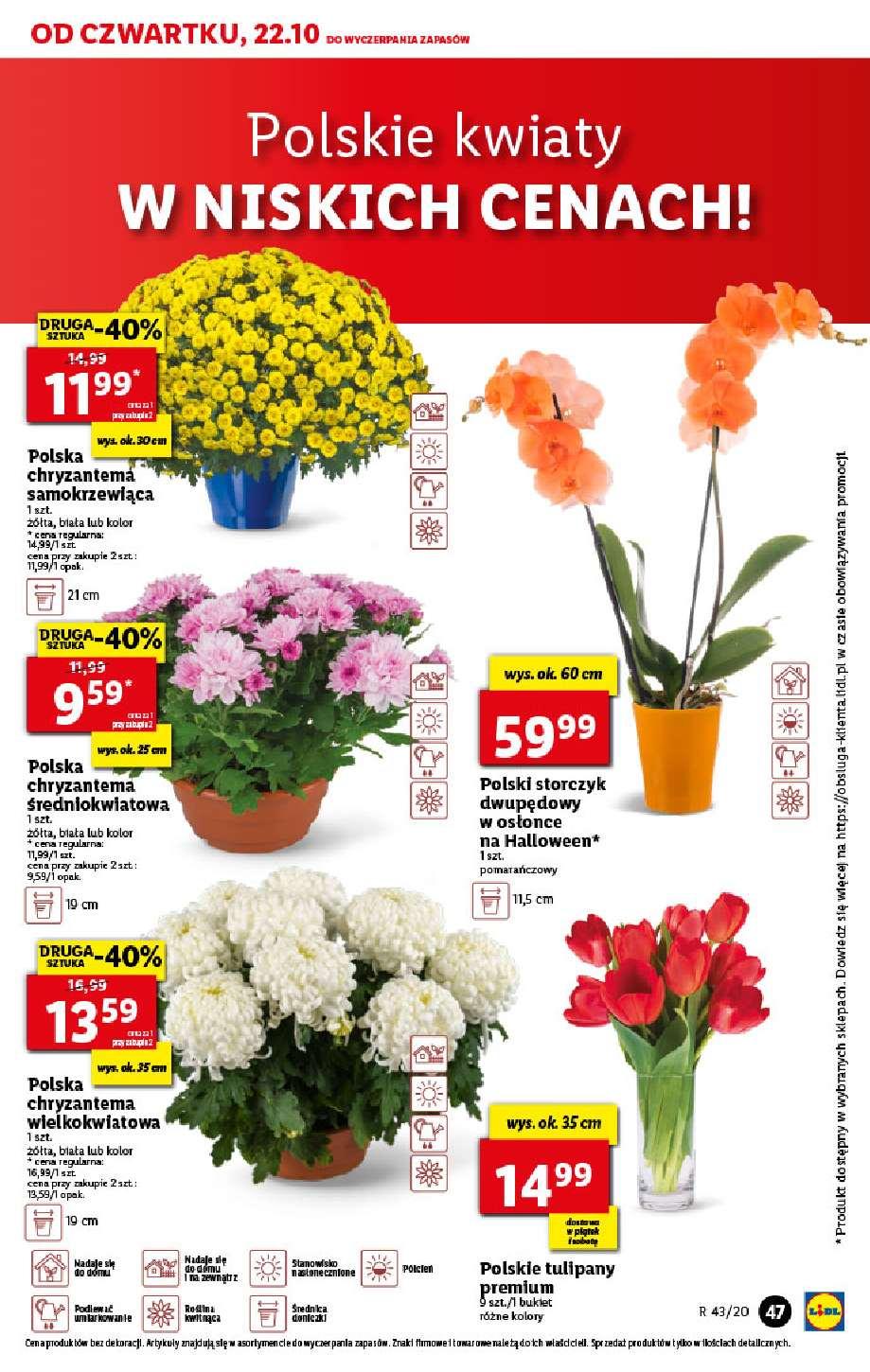 Gazetka promocyjna Lidl str. 47