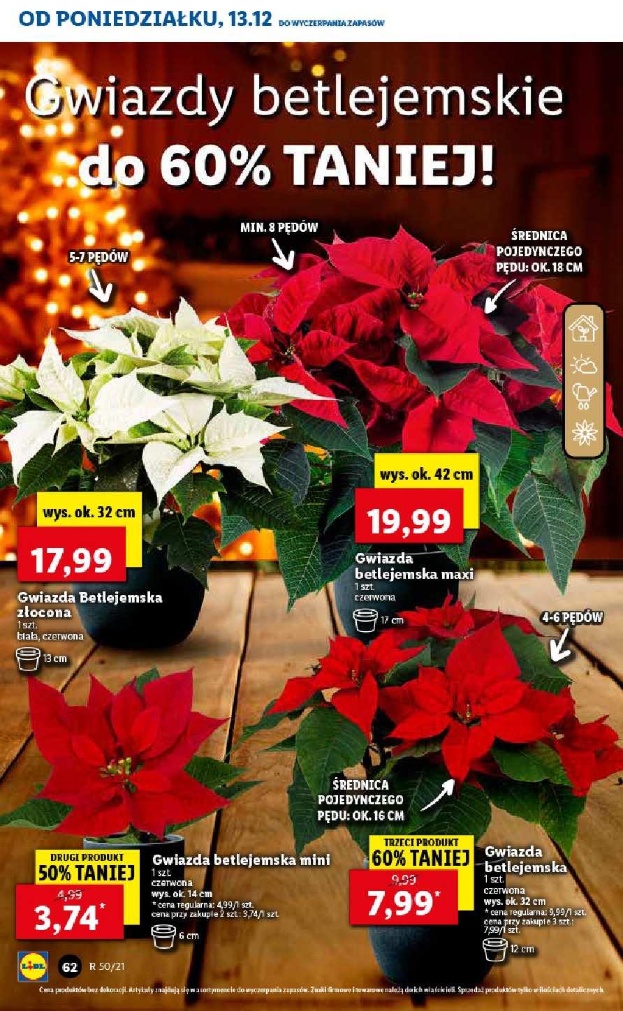 Gazetka promocyjna Lidl str. 62