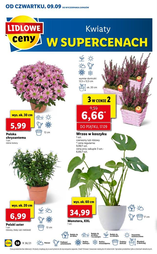 Gazetka promocyjna Lidl str. 54