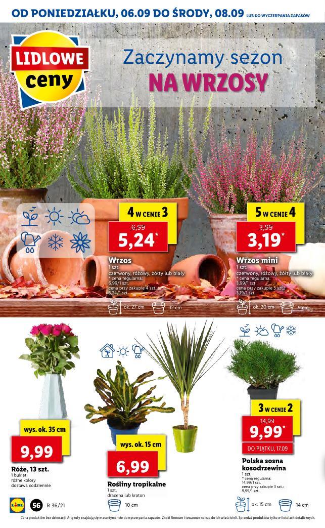 Gazetka promocyjna Lidl str. 54