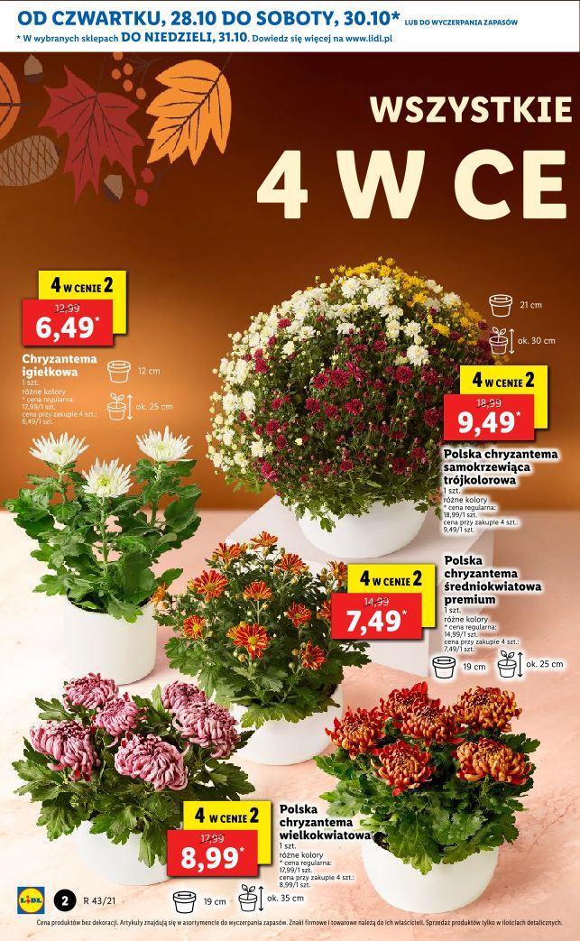 Gazetka promocyjna Lidl str. 2