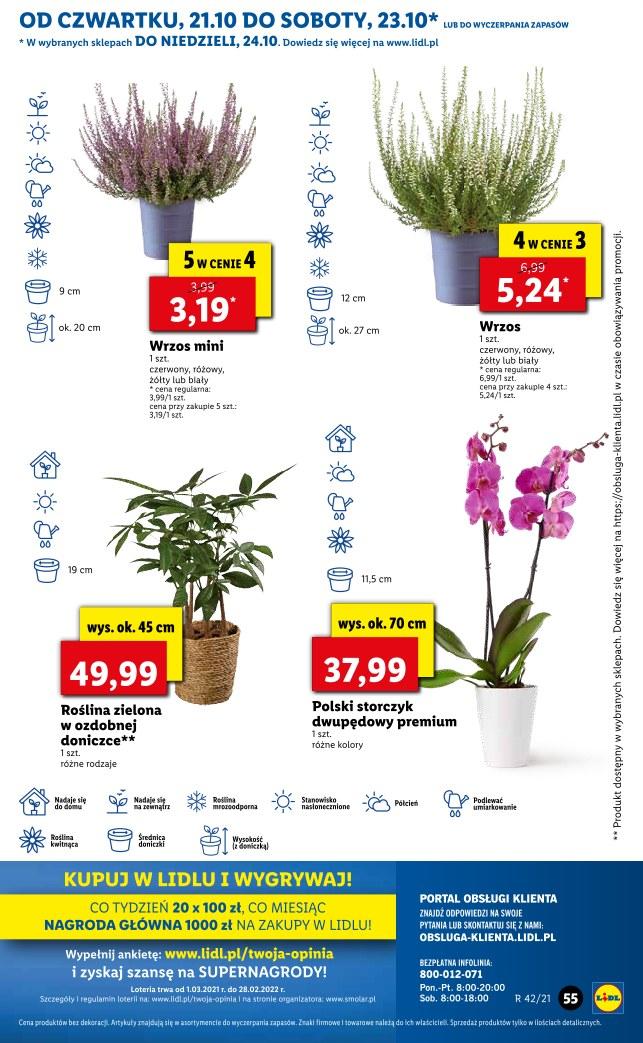 Gazetka promocyjna Lidl str. 55