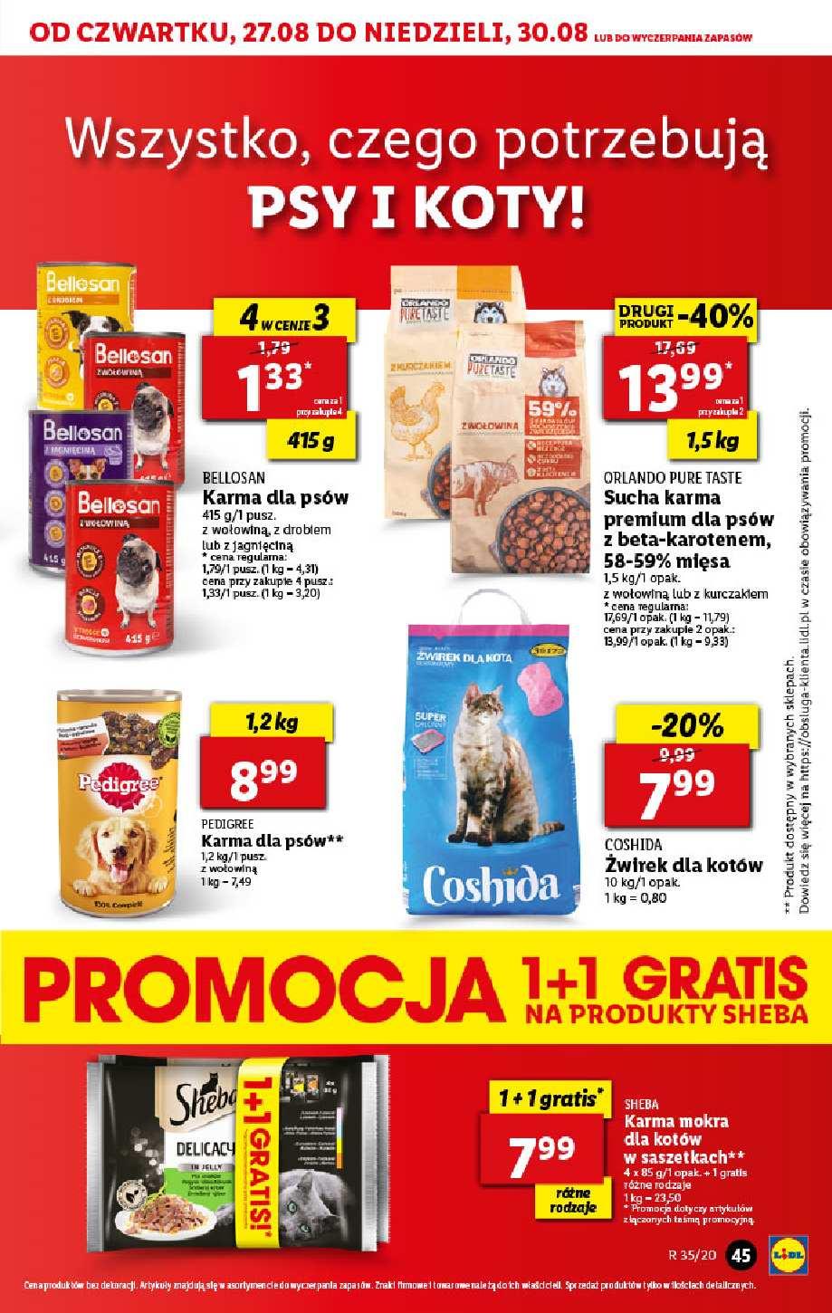 Gazetka promocyjna Lidl str. 45