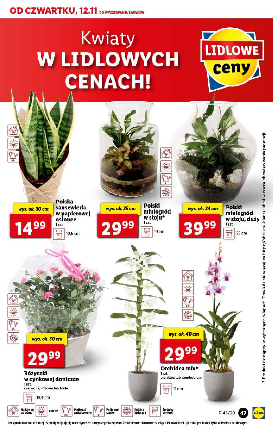 Gazetka promocyjna Lidl str. 47