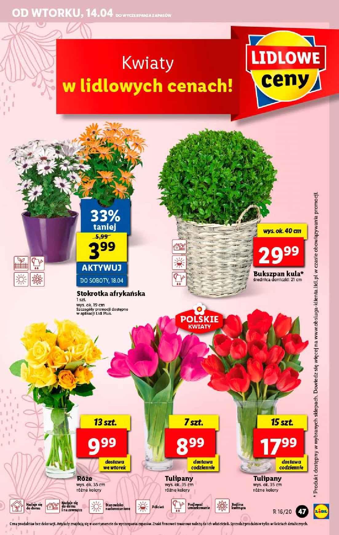 Gazetka promocyjna Lidl str. 47