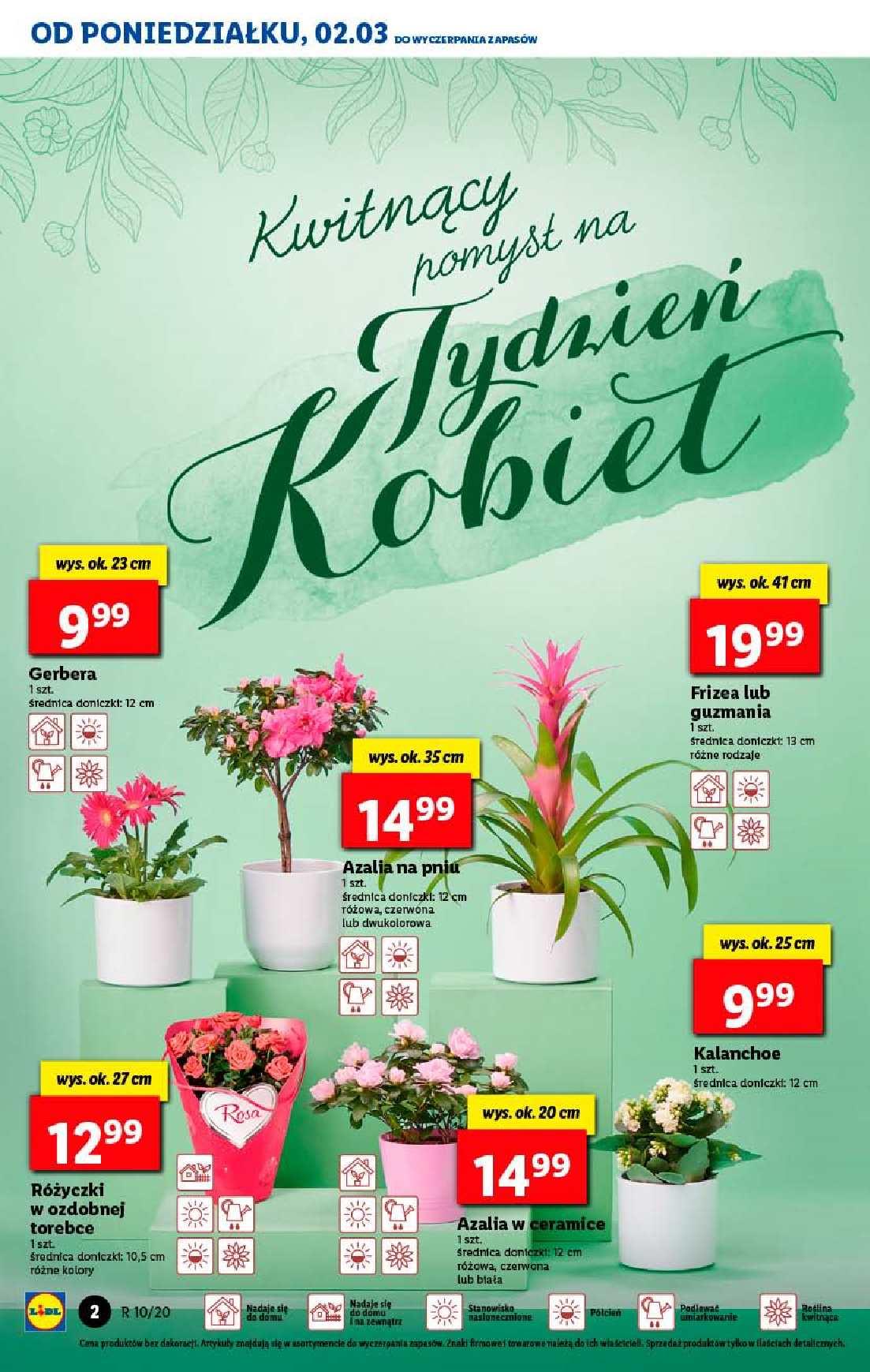 Gazetka promocyjna Lidl str. 2