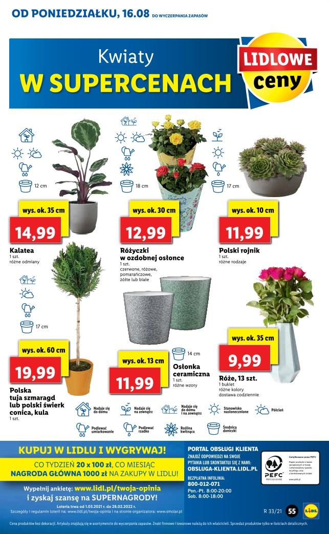 Gazetka promocyjna Lidl str. 55