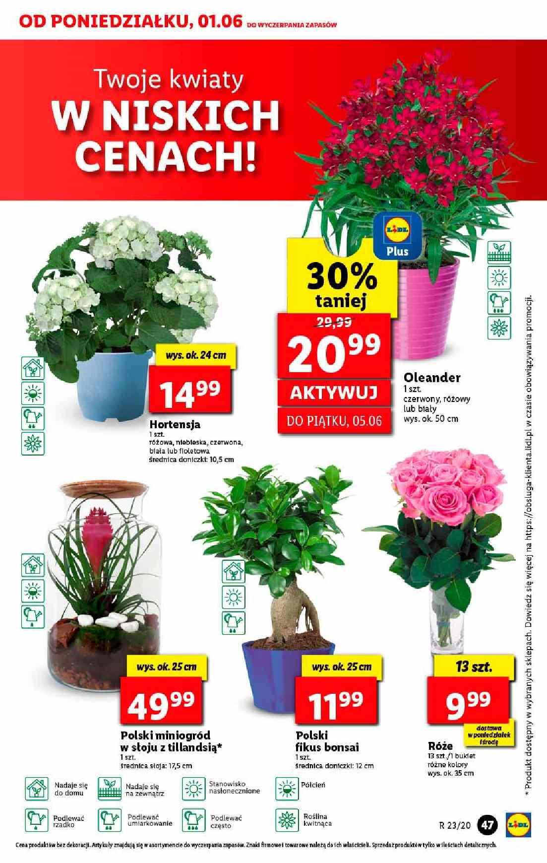 Gazetka promocyjna Lidl str. 47