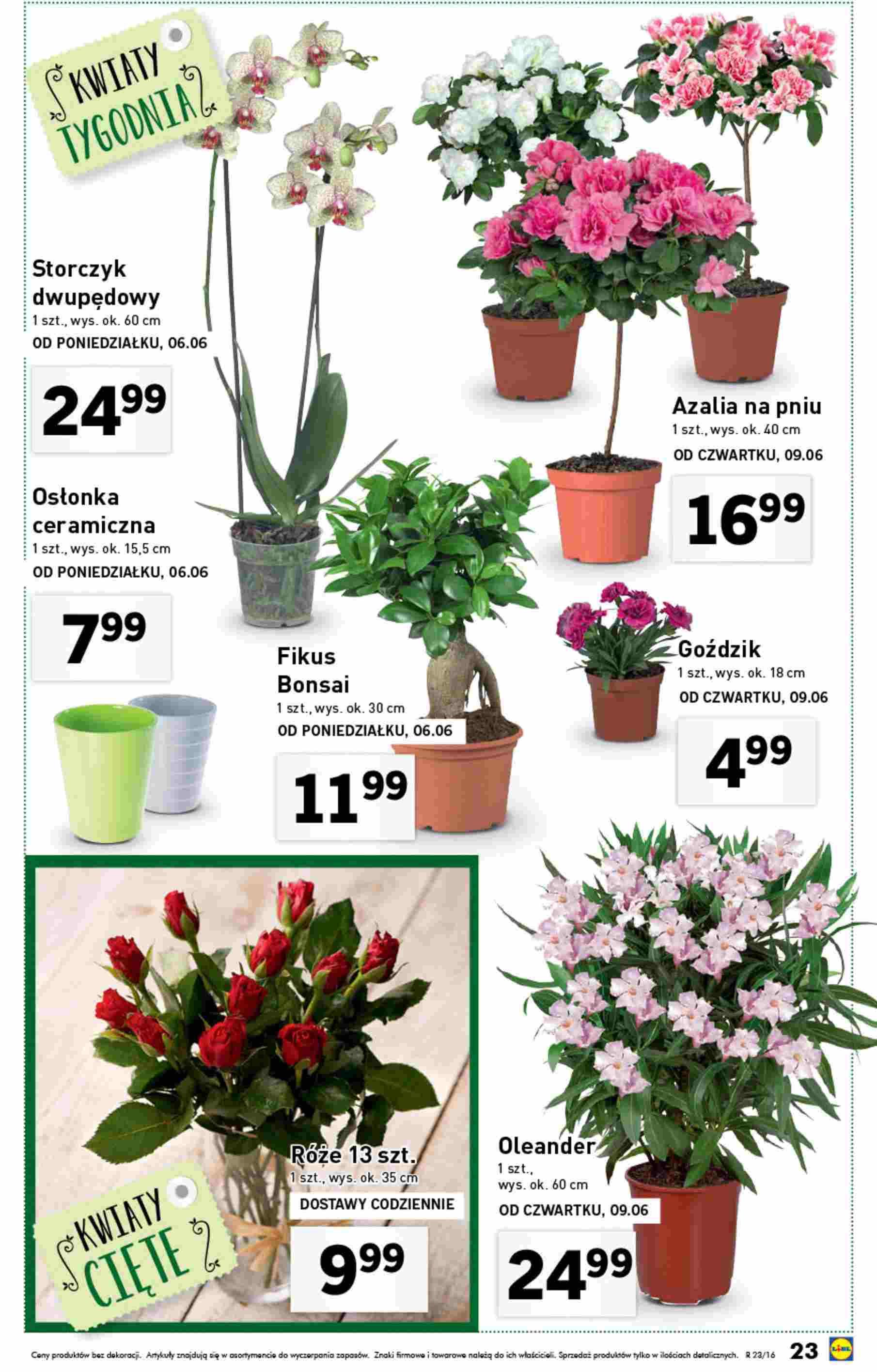 Gazetka promocyjna Lidl str. 23