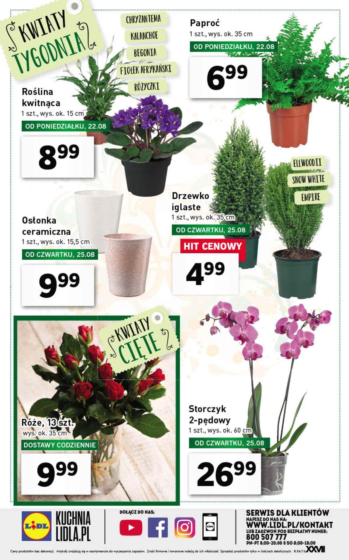 Gazetka promocyjna Lidl str. 27