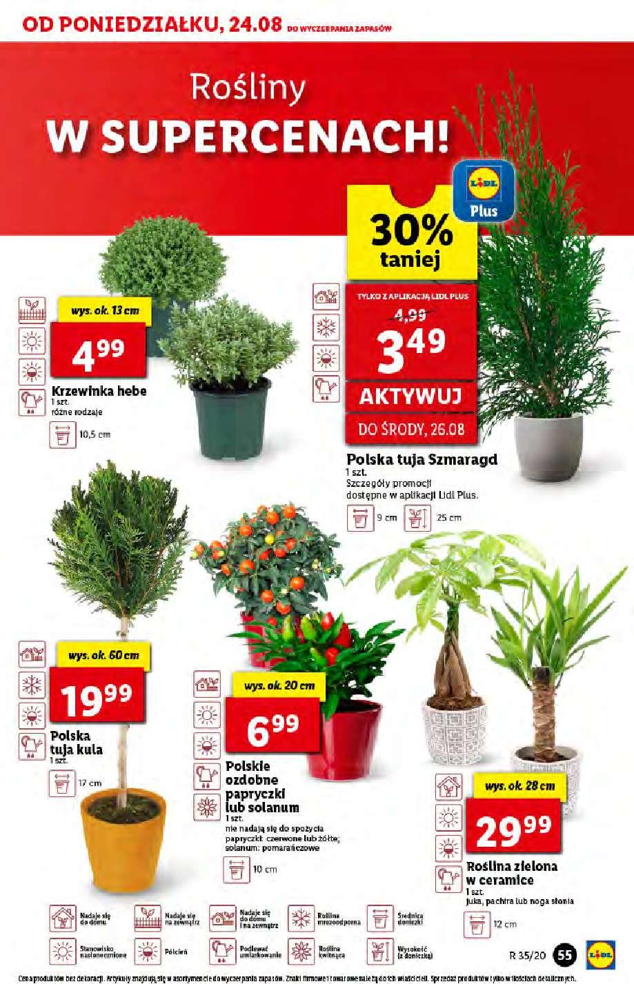 Gazetka promocyjna Lidl str. 55