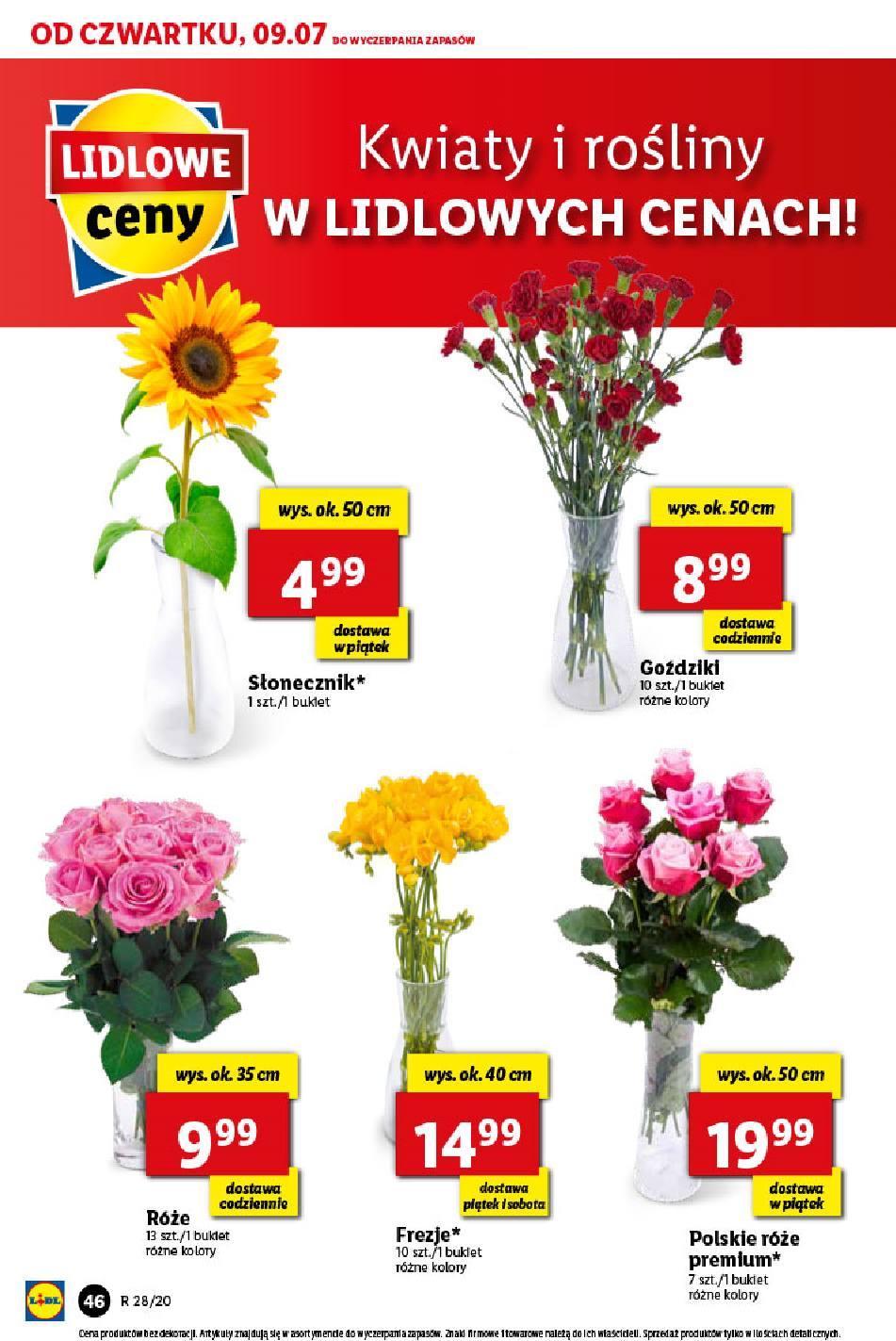 Gazetka promocyjna Lidl str. 46