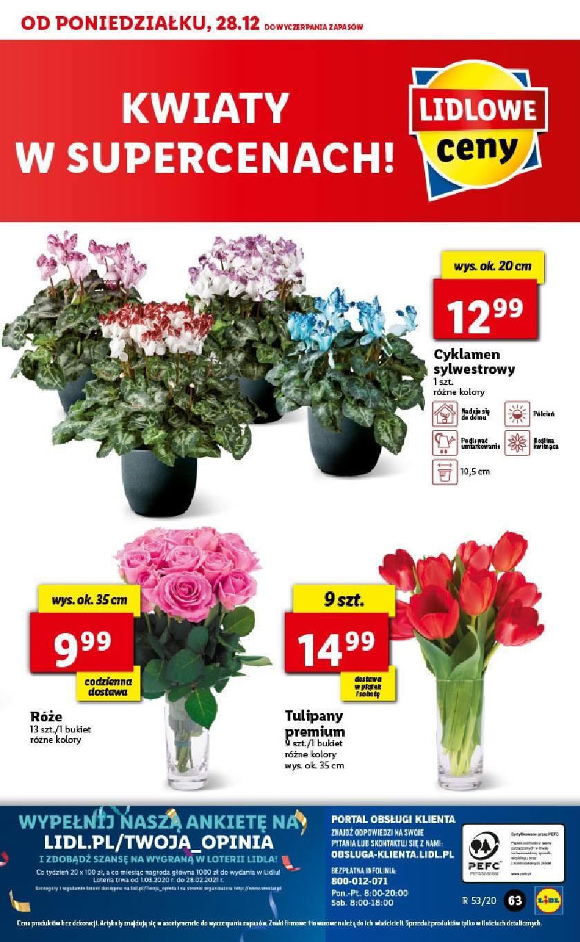 Gazetka promocyjna Lidl str. 63