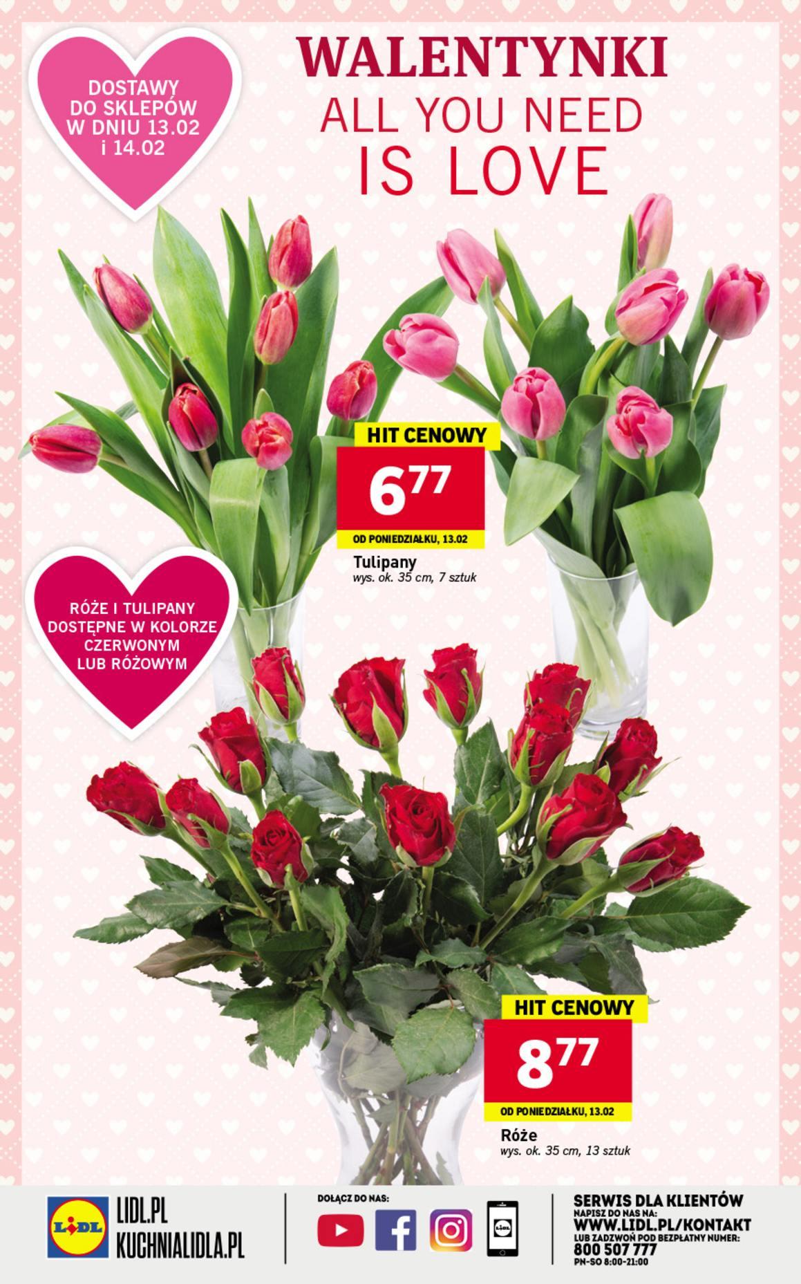 Gazetka promocyjna Lidl str. 24