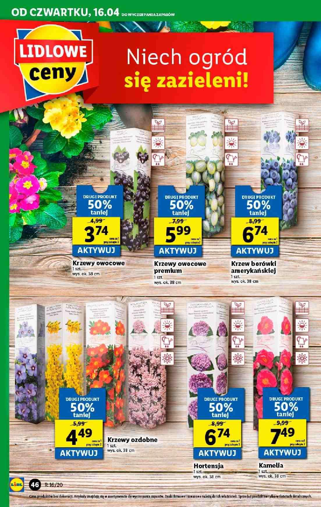 Gazetka promocyjna Lidl str. 46