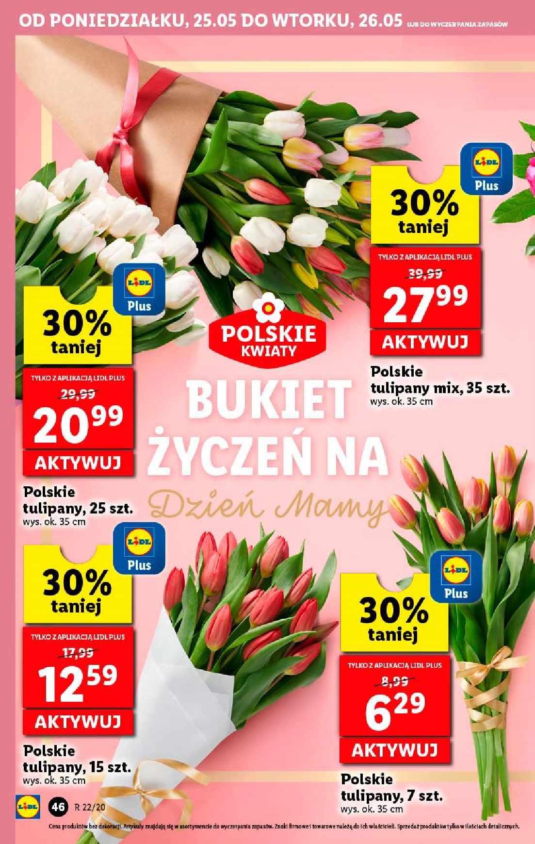 Gazetka promocyjna Lidl str. 46