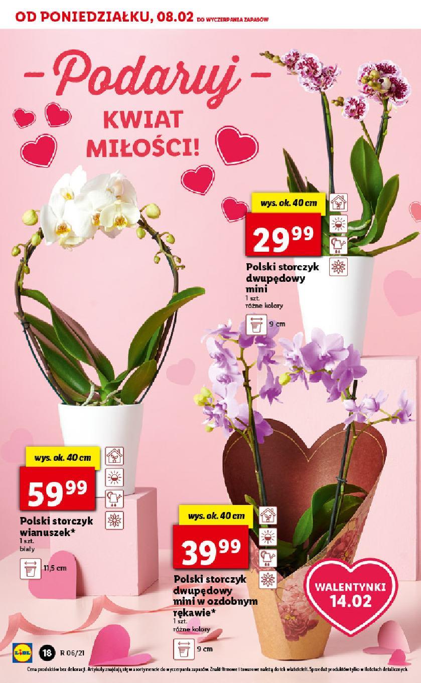 Gazetka promocyjna Lidl str. 18