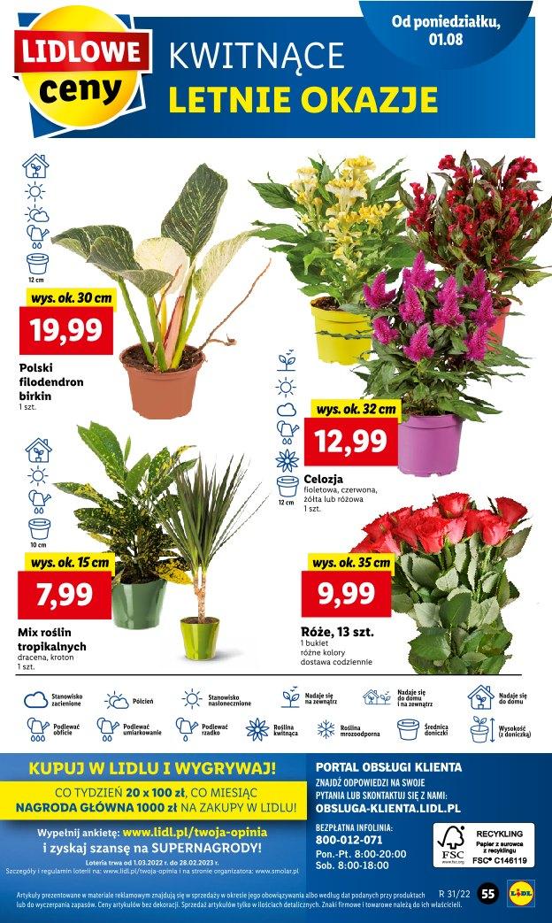 Gazetka promocyjna Lidl str. 55