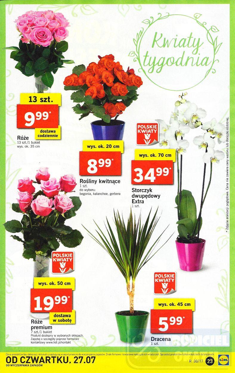 Gazetka promocyjna Lidl str. 23