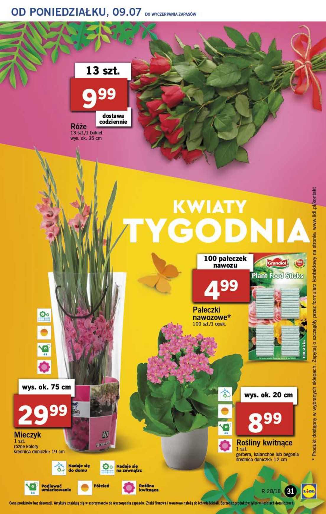 Gazetka promocyjna Lidl str. 31