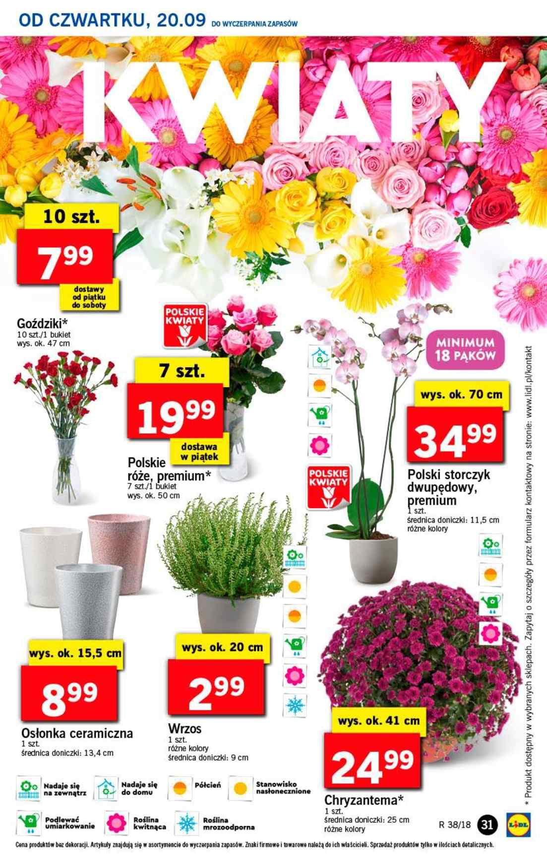 Gazetka promocyjna Lidl str. 31