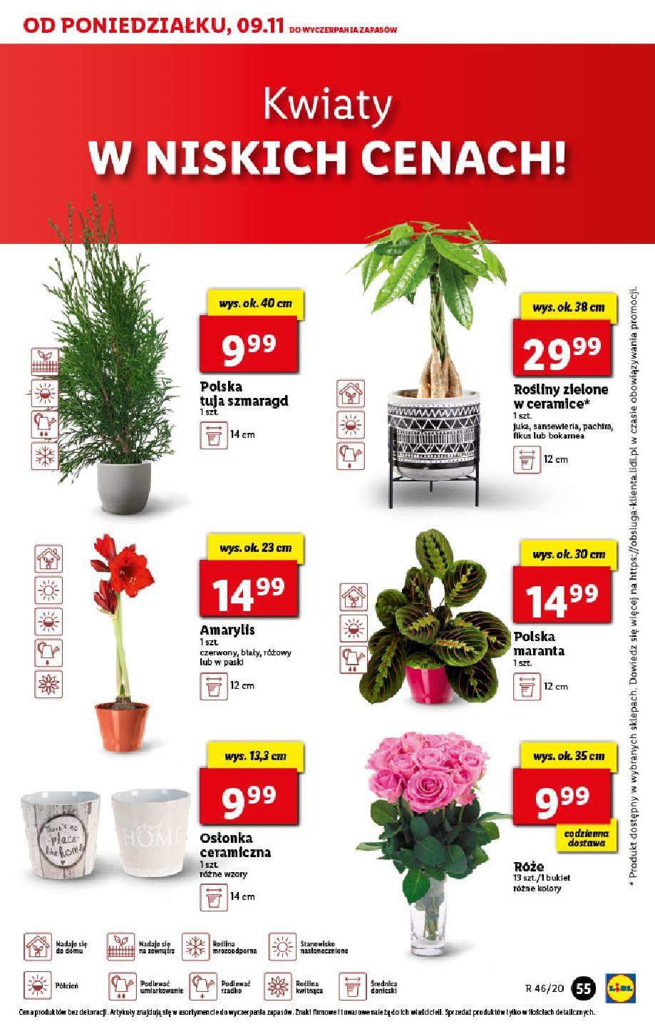 Gazetka promocyjna Lidl str. 55