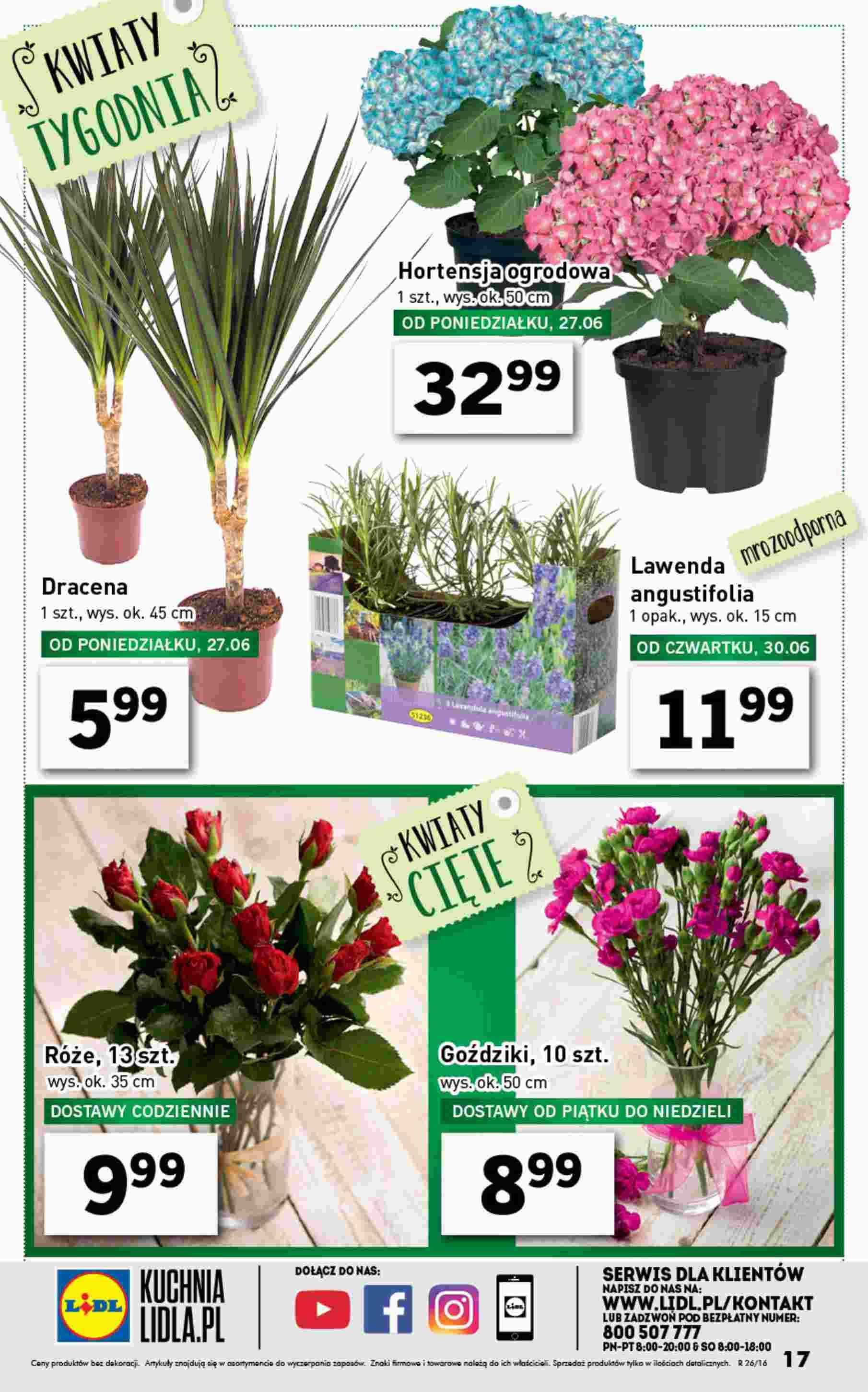 Gazetka promocyjna Lidl str. 17