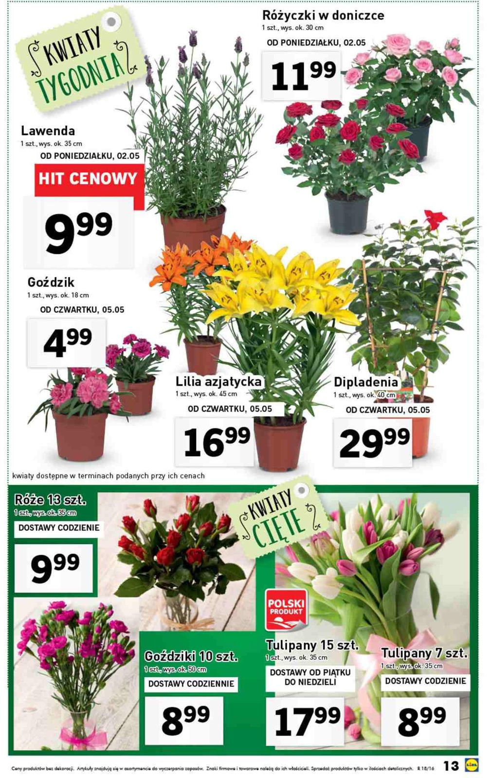 Gazetka promocyjna Lidl str. 13